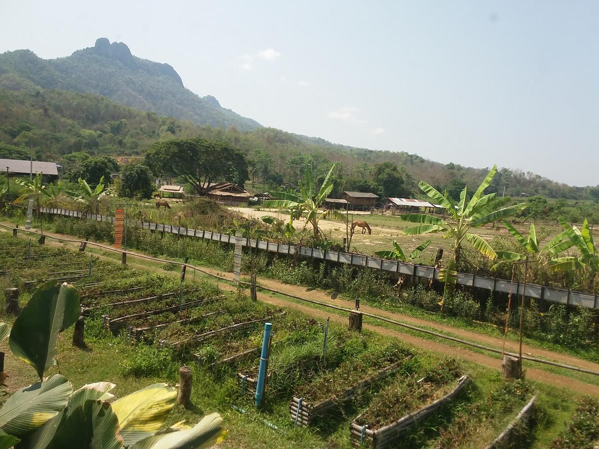 Him Doy Muang Pan Resort ฮิมดอยเมืองปานรีสอร์ท Ban Sop Pan Zewnętrze zdjęcie